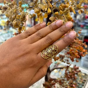 Seed of Life Ring Sterling Simple Ancient Geometry Yoga Jewelry, Mandala Ring
